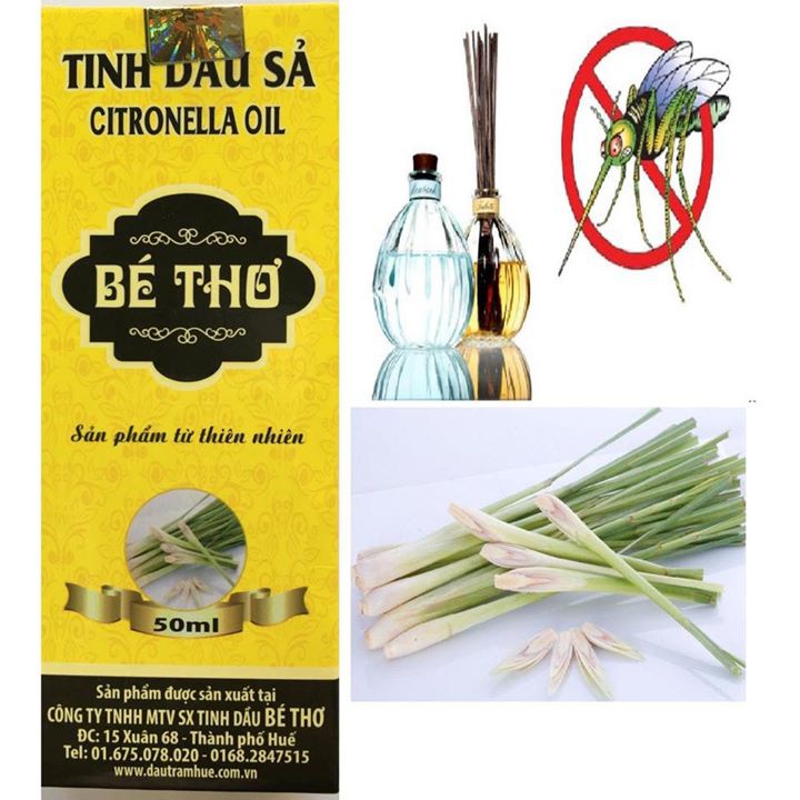 tinh dau sa be tho khac tinh cua muoi
